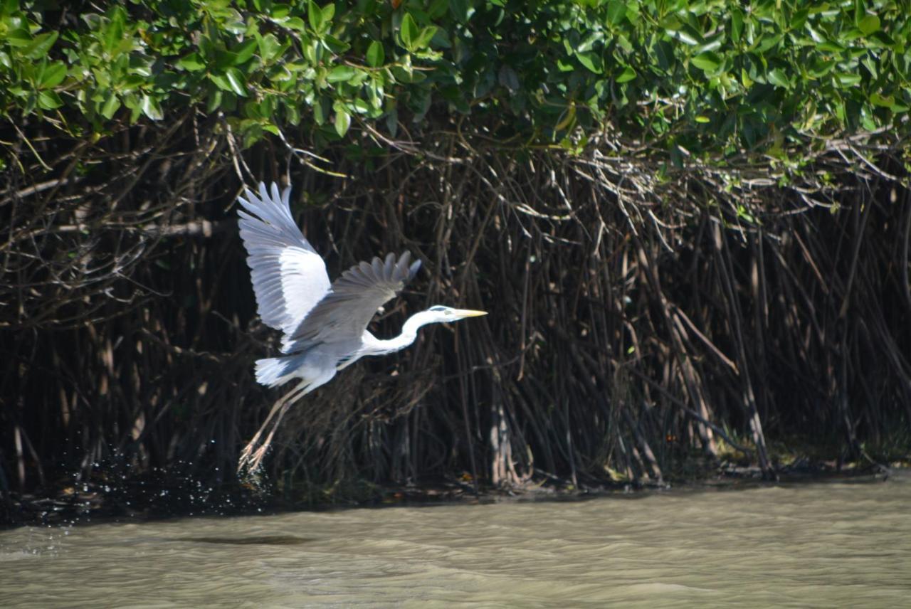 فندق Beach Lagoon Parans آروغام المظهر الخارجي الصورة